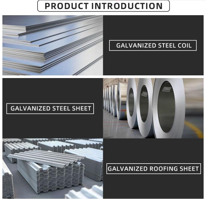 Galvanized Steel Coil